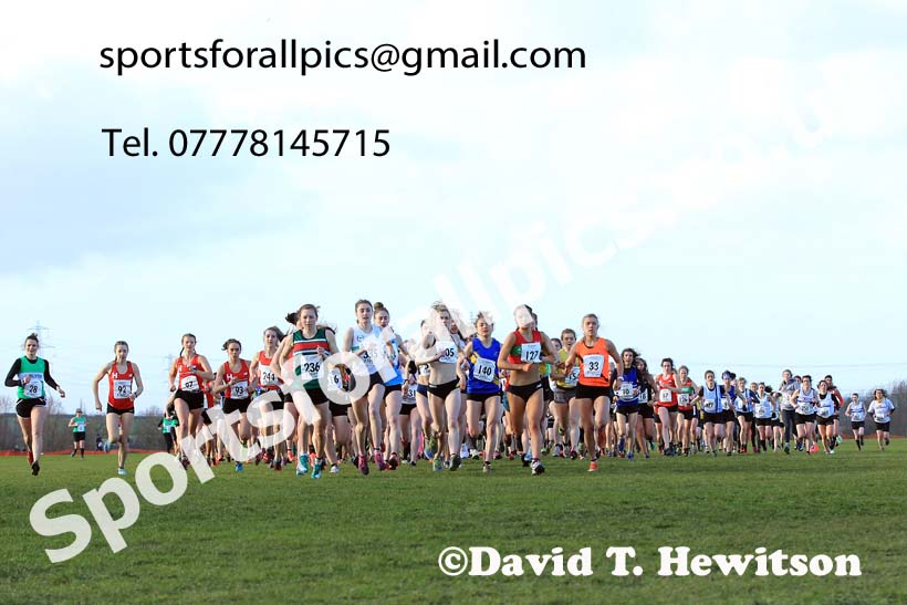 Senior womens 2022 Northern Cross Country Champs., Pontefract. Photo: David T. Hewitson/Sports for All Pics